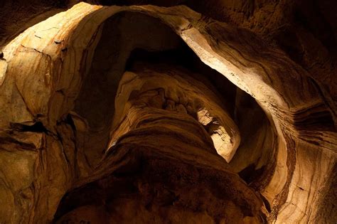 Secrets Of Alabama's Bankhead Forest Groves | TouristSecrets