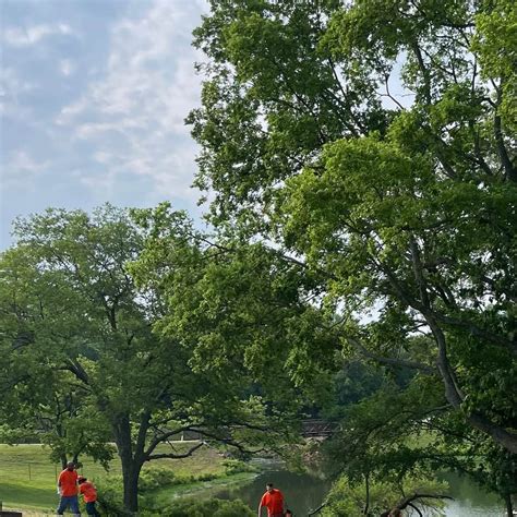 Rend Lake Gun Creek Campground | Johnsonville, IL