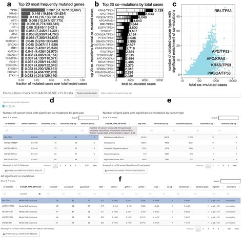 A Pan-Cancer Assessment of RB1/TP53 Co-Mutations