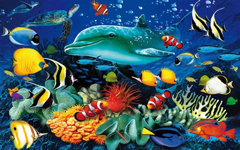 Ocean Animals Wallpaper (52+ images)