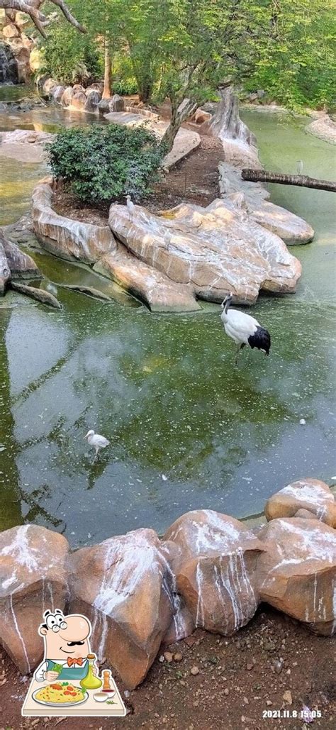 Zam Zam Hotel زَم زَم ہُوٹل, Zaheerabad - Restaurant menu, prices and ...