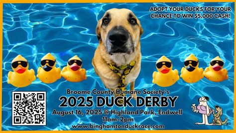 Binghamton... - pressconnects.com / Press & Sun-Bulletin | Facebook