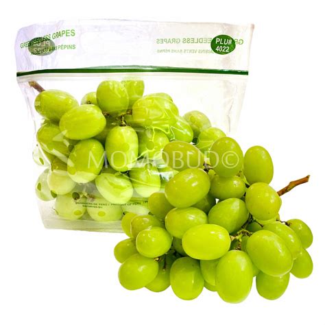 Jumbo Autumn Crisp® Green Seedless Grapes — MomoBud
