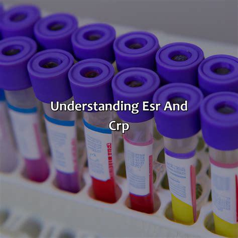 What Color Is Morado - colorscombo.com