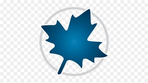 Image result for Maple Activation Code Free