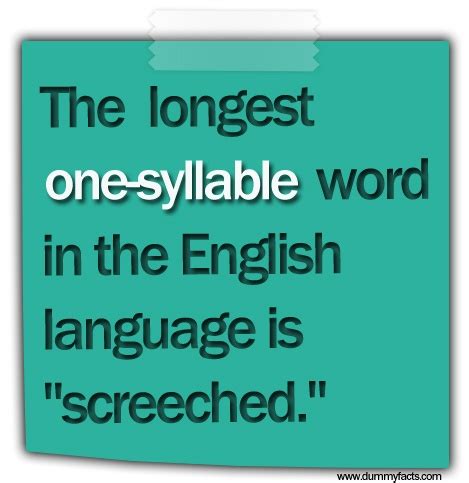 http://www.dummyfacts.com/the-longest-one-syllable-word-in-the-english ...