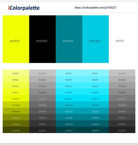Chartreuse Yellow – Black – Blue Lagoon – Robin’s Egg Blue – White ...