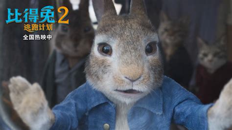 《比得兔2：逃跑计划》票房破亿 口碑领跑成周末家庭观影之选 - 360娱乐，你开心就好