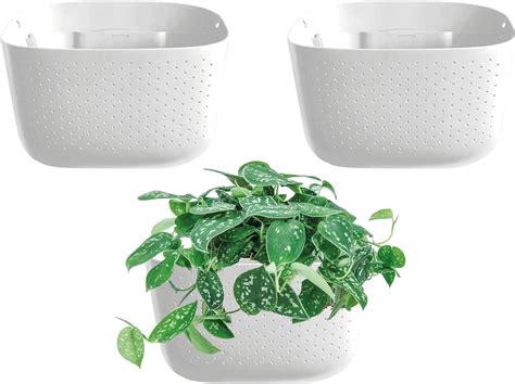 Buy WallyGrow Eco Wall Planter, Create a Plant Wall with Hanging ...