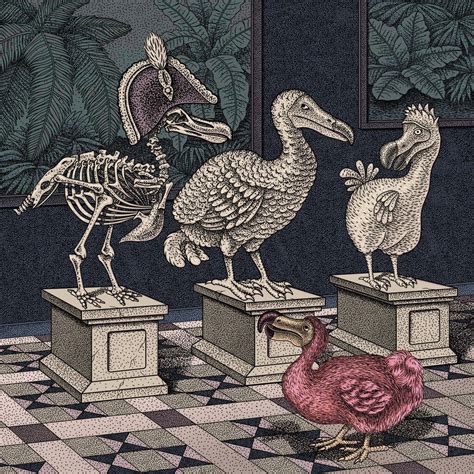 Extinction 的图像结果