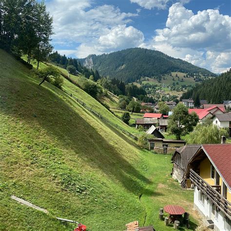 PENSIUNEA NICOLETA - Pension Reviews & Photos (Moieciu de Sus, Brasov ...
