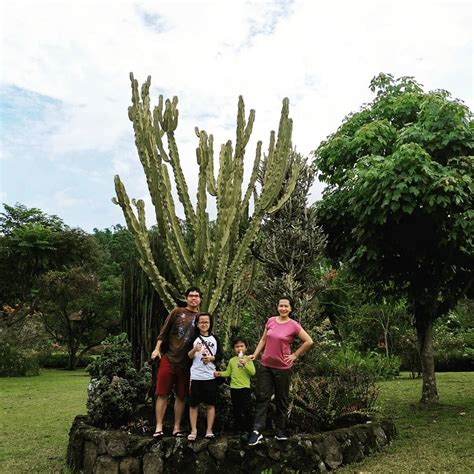 KEBUN MAWAR SITUHAPA (Garut) - Hotel Reviews, Photos, Rate Comparison ...