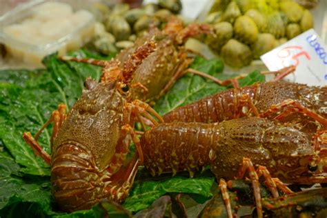 Lobsters in the fishmonger | Premium Photo