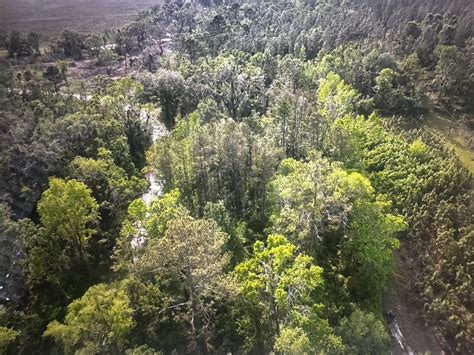 1-Acre on Rue Drive | Madison County | Pinetta, FL