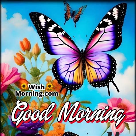 Top 999+ good morning images with butterfly – Amazing Collection good ...