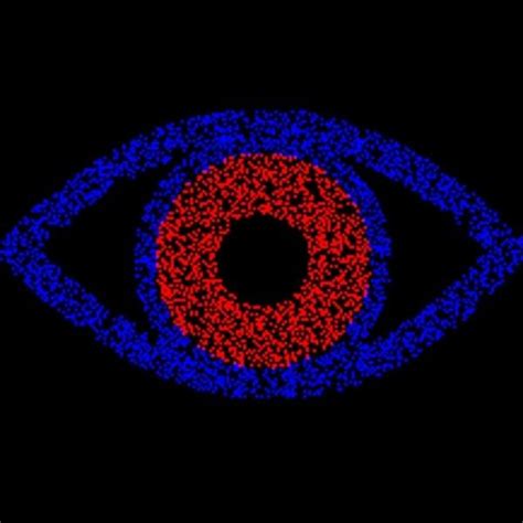 Optical Illusion Delivers Incredible Depth But Not Everyone Can See It