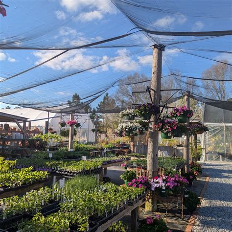 Pensacola Seed & Garden North (@pensacolaseedandgardennorth ...