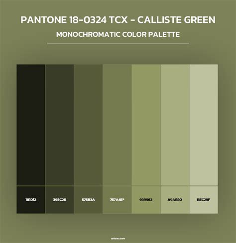 PANTONE 18-0324 TCX - Calliste Green color palettes - colorxs.com