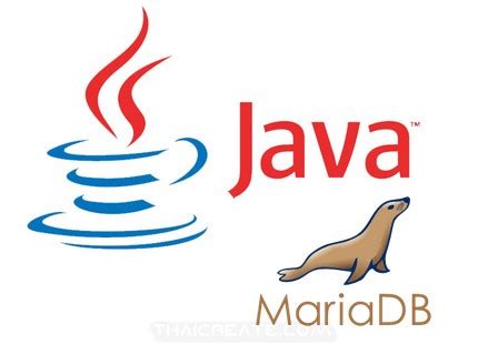 MariaDB with Java 的图像结果