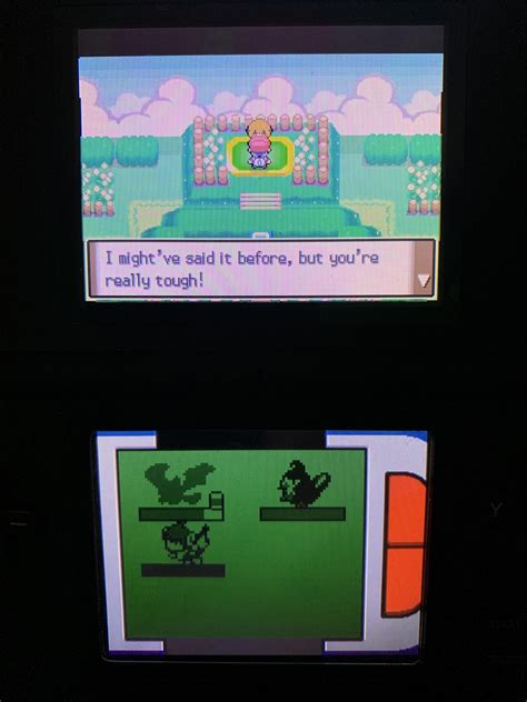 Gardenia is lucky Zubat evolves at level 22 : r/nuzlocke