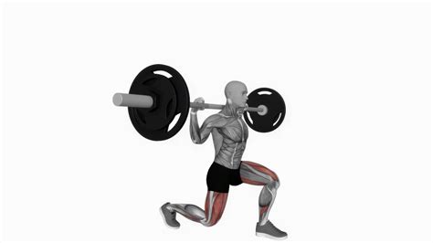 barbell split squat fitness exercise workout animation video male ...