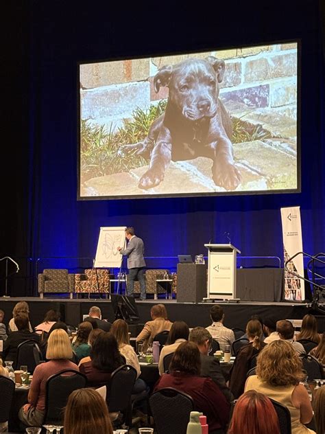 Thank you Dr Adam Fraser PhD for the photos of Tilly 🐶, I mean, your ...