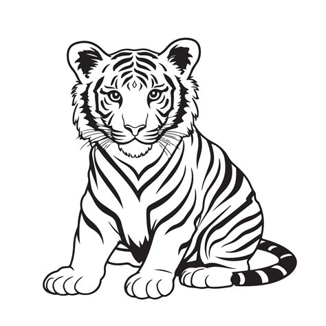 Black And White Tiger Pics at Aletha Heidelberg blog