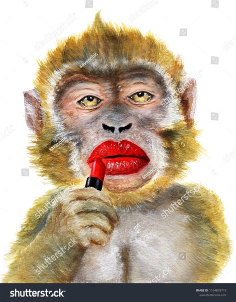 Monkey With Makeup