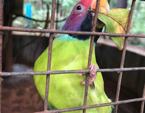 BONDLA WILDLIFE SANCTUARY (2026) All You Need to Know BEFORE You Go ...