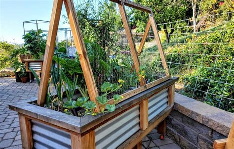 How To Build a Cucumber Trellis for Raised Beds | Kellogg Garden Organics™