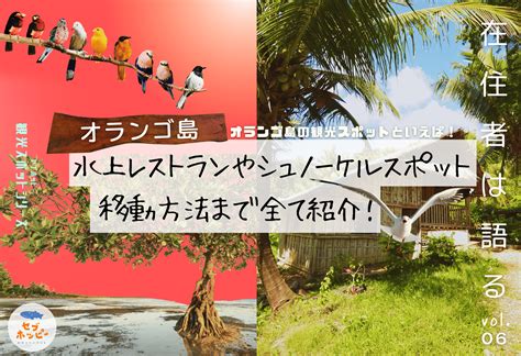 Image result for Alien Quest Eve without Censorship
