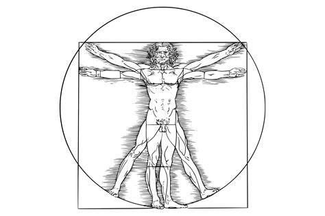 Vitruvian Man Poster