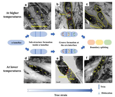 Dynamic Spheroidization Mechanism and Its Orientation Dependence of Ti ...