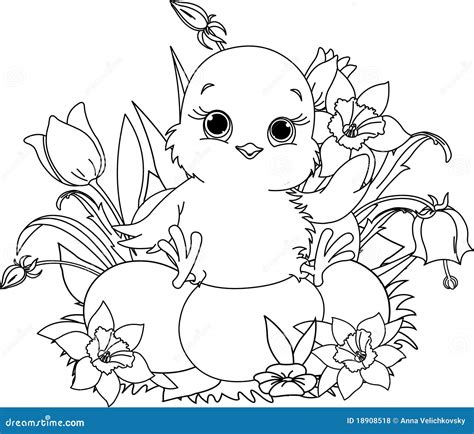 Happy Easter Chick. Coloring Page Stock Vector - Illustration of white ...