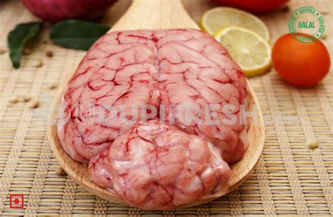Brain, Bheja Of Goat, Sheep Or Lamb 1 PC – UDUPI FRESH