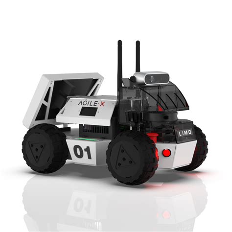 Scout Mini Robot 的图像结果