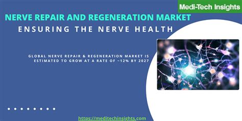 The Global Nerve Repair & Regeneration Market is expected to grow at a rate of ~12% by 2027