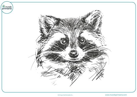 Dibujos a Lápiz Fáciles | Para Copiar Paso a Paso 【+500】