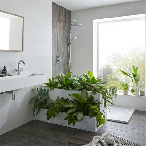 Best Plants For Toilet Room at George Sorensen blog
