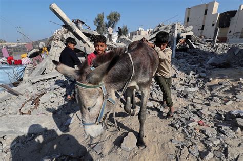 Displaced families in Gaza grapple with cramped conditions in ...