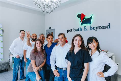 About Pet Bath and Beyond - Premier Pet Grooming and Boarding in San ...