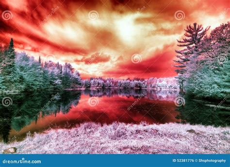 Alien Landscape 的图像结果