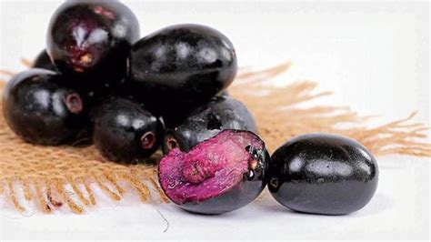 Jamun: A small, yet powerful fruit | Lifestyle News