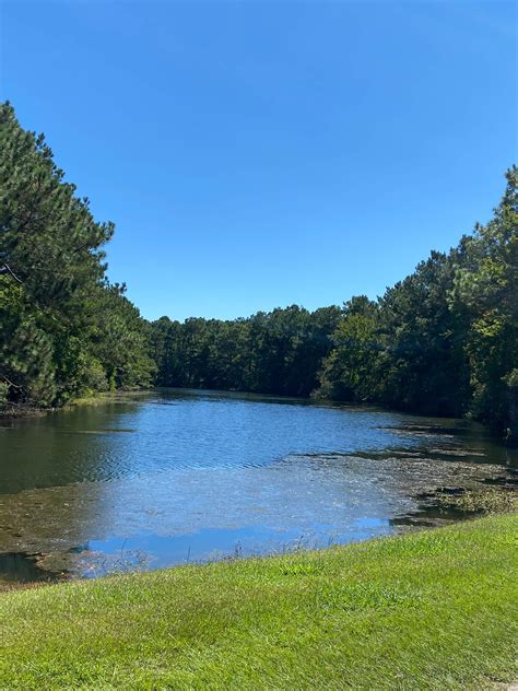 Rocks Pond Campground & Marina | Eutawville, South Carolina