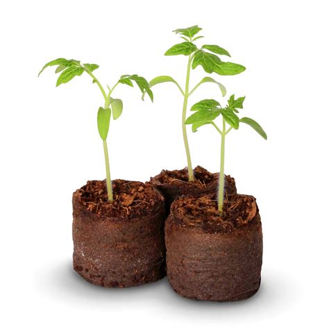 Buy Tech-Garden Pack of 20 - Starter Pellets 35 mm Original Coir Plug ...