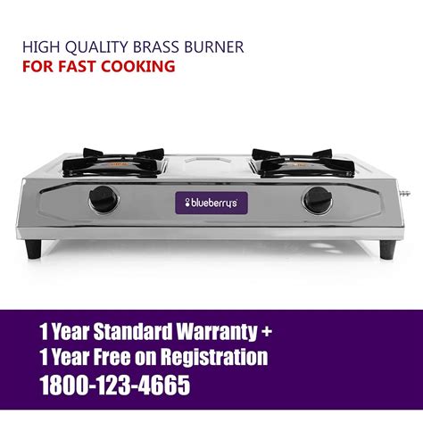 Blueberry's BLAZE 2 Burner Stainless Steel Gas Stove – blueberry's