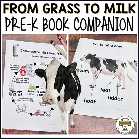 Pre K Free Books at Erin Patteson blog