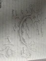 Nervous tissue - Class 9 PDF Download