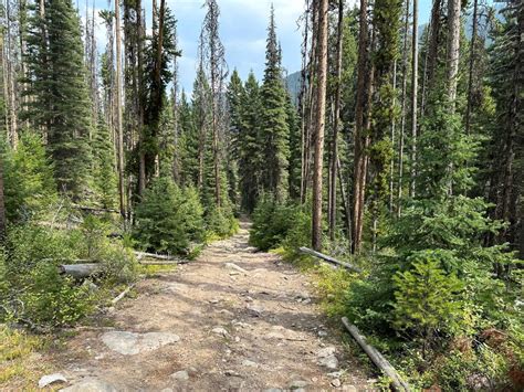 South Boulder Creek Loop, Montana - GPS Trail Map, Conditions ...