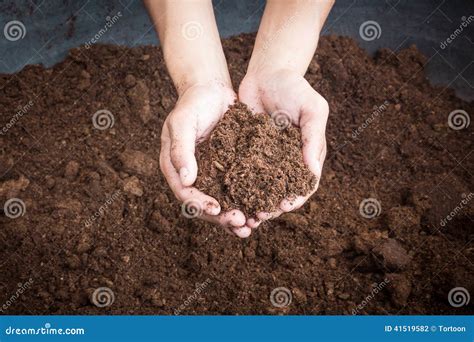 Peat Moss Soil on Hand Woman Stock Photo - Image of fertilizer, farm ...